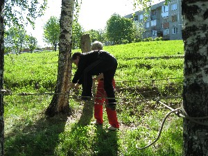 �����������